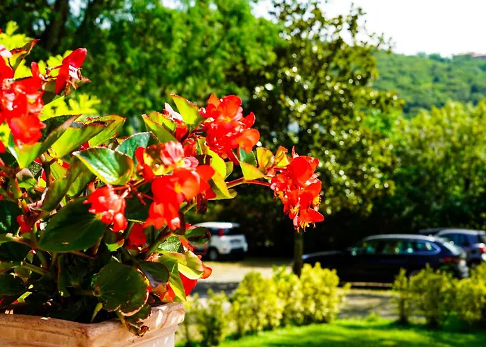 Апарт-отель Bottacin 4*